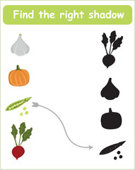 find the right shadow. Educational game for children. Find the right shadow. Kids activity with cartoon fruits.
