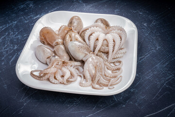 Fresh Octopus Squid on wooden plate, Fresh Octopus in wooden plate on wooden background