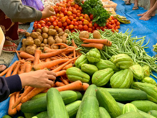 women's hands with assorted vegetables such as tomatoes, potatoes, carrots, pumpkins, cucumbers.