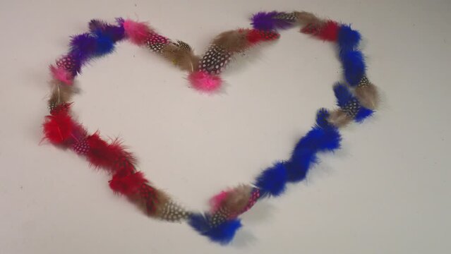 Flying feathers create a spectacular heart for Valentine's Day