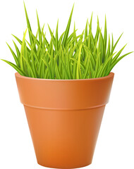 Photo Realistic Illustration Of The Flowerpot With Green Fresh Grass Isolated