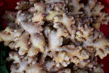 Close-up view of fresh ginger root