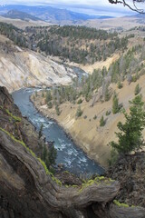 yellowstone river canoyn