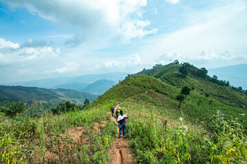 Fototapeta premium View of the nature trail on the mountain in Thailand