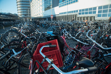 transport miejski w Holandii