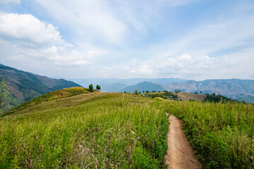 Obraz premium View of the nature trail on the mountain in Thailand