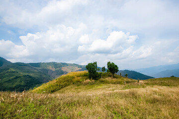 Fototapeta premium View of the nature trail on the mountain in Thailand