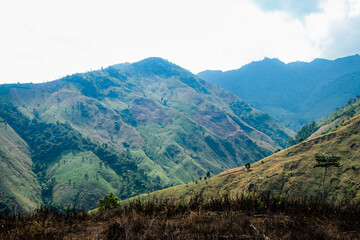 Obraz premium View of the nature trail on the mountain in Thailand