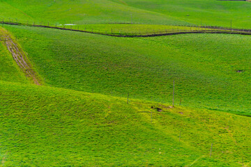 Landscape with green hills in agricultural fields