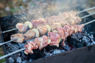 tasty and appetizing meat on the grill. kebab