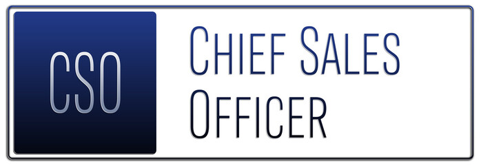 English professional title in management - Chief Sales Officer