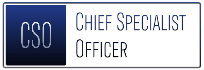 English professional title in management - Chief Specialist Officer