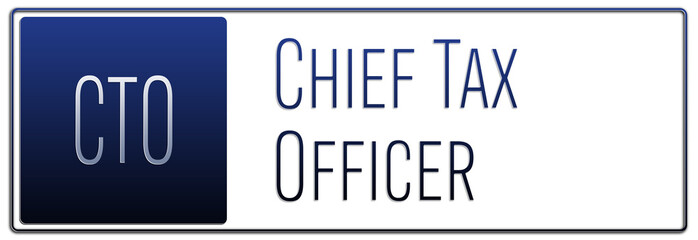 English professional title in management - Chief Tax Officer