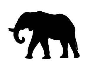 black elephant icon in nature isolate.