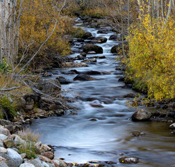 mountain river in autumn