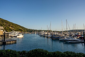 Fototapeta premium tourists walking at hamilton island in queensland Australia, during summer at the great barrier reef