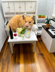 Cute Syrian hamster eating salad in a white kitchen