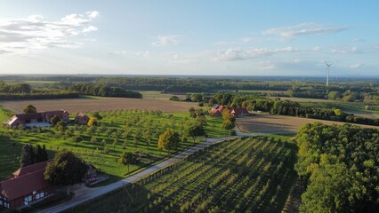 Fototapeta na wymiar vineyard Aerial village 
