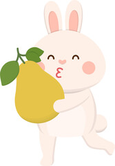 Cute rabbit mascot character with pomelo, traditional festival in China and Taiwan: Mid-Autumn Festival