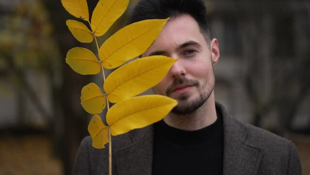 Front view smiling handsome man covering face with yellow fallen tree leaves looking at camera. Joyful confident Caucasian guy posing outdoors in autumn park on overcast day