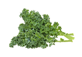Obraz premium Kale leaves isolated on transparent png