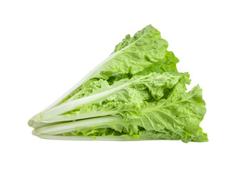 Lettuce leaves isolated on transparent png