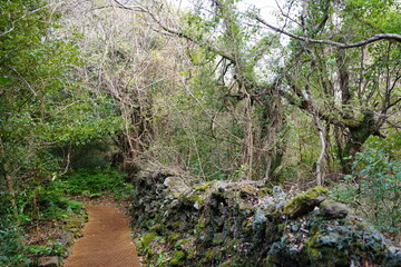 Fototapeta premium stone wall and path
