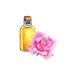 watercolor drawing rose essential oil, glass bottle and flower, hand drawn illustration