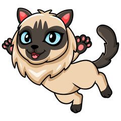 Cute balinese cat cartoon posing