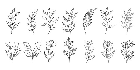 Set of botanical floral branch abstract one line art vector illustration