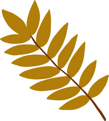 simplicity maple freehand drawing flat design.