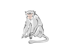 Bali gray monkey in flat style, vector illustration.