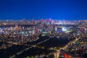 東京　六本木ヒルズからの夜景