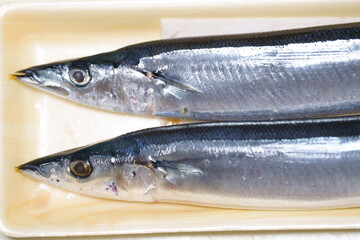 パックトレイの上の新鮮なサンマ