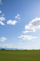 秋の晴れた日の緑の麦畑と山並み　十勝岳連峰
