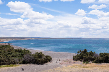 Punta Tombo beach day view, Patagonia, Argentina