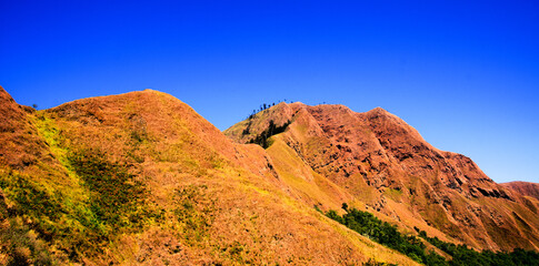 Travel photo with back ground mountain scenery and green forest.