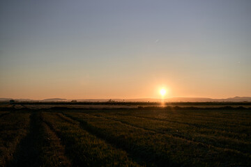sunset in the lagoon of valenca spain a day with a clear sky in a quiet place