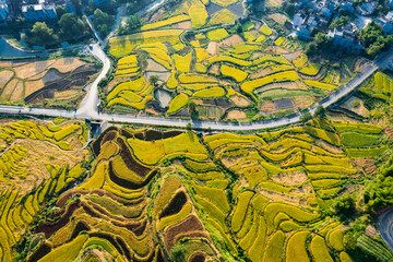 Autumn terraced landscape of Jiangling in Wuyuan, Jiangxi province