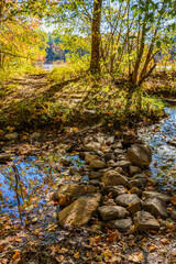 stream in autumn