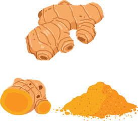 ウコンのイラスト