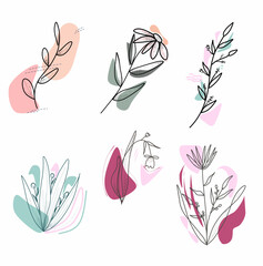 Set of Various Leaves and Flowers, abstract shapes. Round elements, abstract shapes, lines, floral. Minimalistic style. Vector stock illustration. Line art. Contemporary Hand drawn illustrations.