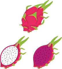 ドラゴンフルーツのイラスト