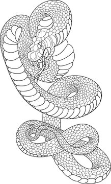 Hand drawn snake vector for coloring book and tattoo design isolate on white background.