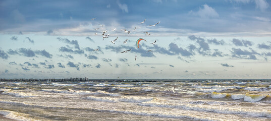 Panoramic view of evening sea coast with kiter and flock of seagulls in summer time
