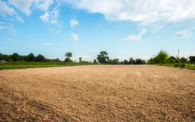 Tuinposter Empty dry cracked swamp reclamation soil, land plot for housing construction project with car tire print in rural area and beautiful blue sky with fresh air Land for sales landscape concept. © Puttachat