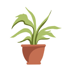 Indoor plants in pots.Bright green leaves of plants.Beautiful bright indoor flowers.Nature and home comfort.Nature care.Potted flower.Potted plant.