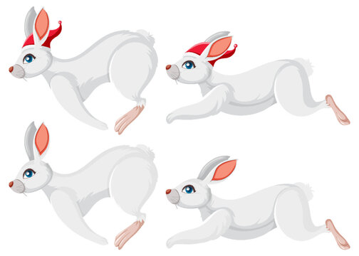 Set of white rabbits in different poses