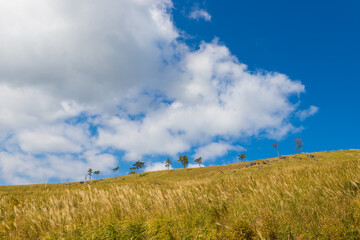 Obraz premium 高原と青空（熊本県南小国町）