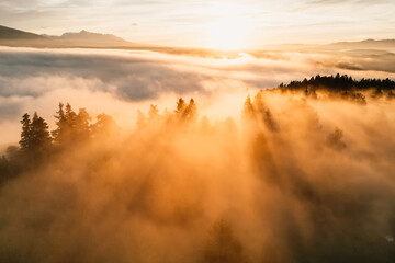 Foggy forest with sun rays. Top view from drone of mountain valley in low clouds. Aerial view of...